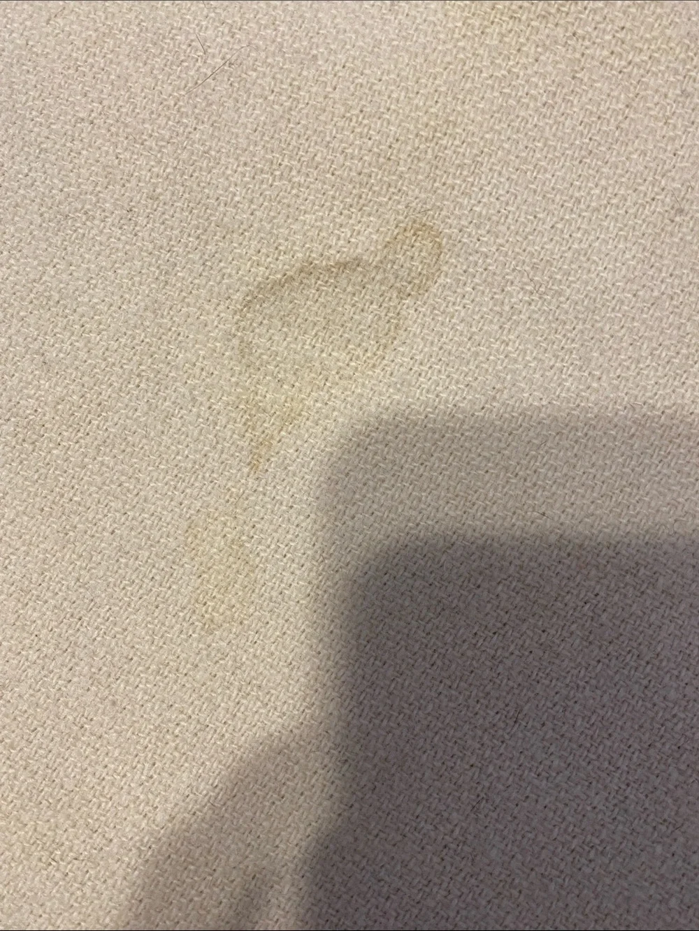 L.L. Bean soft cream